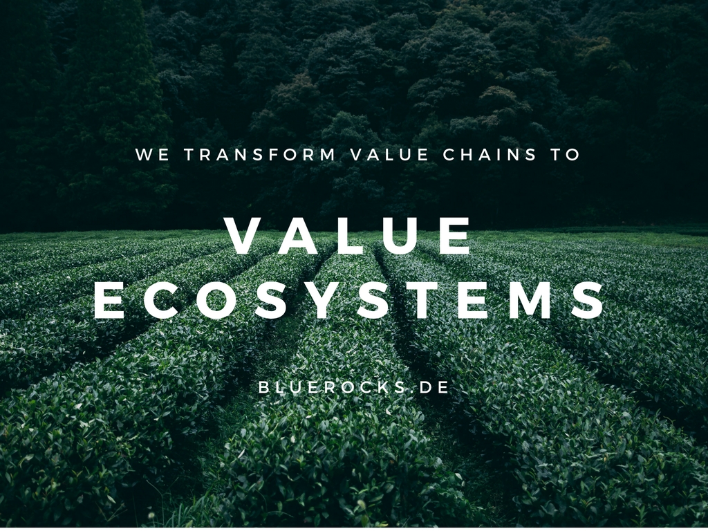 Design Your Value Ecosystem by BlueRocks.de