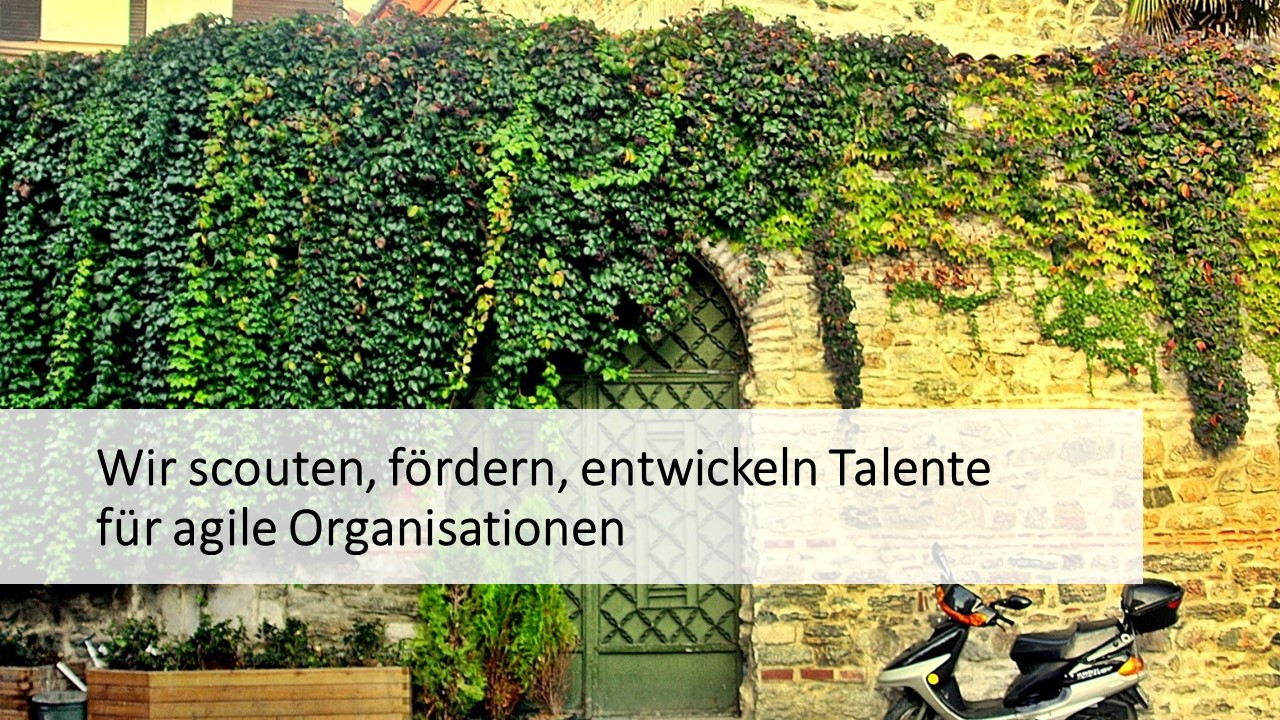 talent development agile organisationen